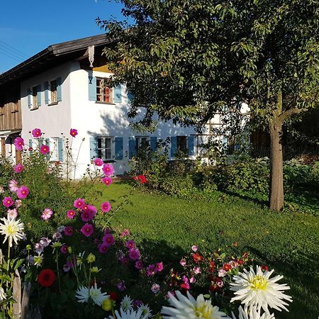 Ferienwohnung Hofen 5 パイティンク エクステリア 写真