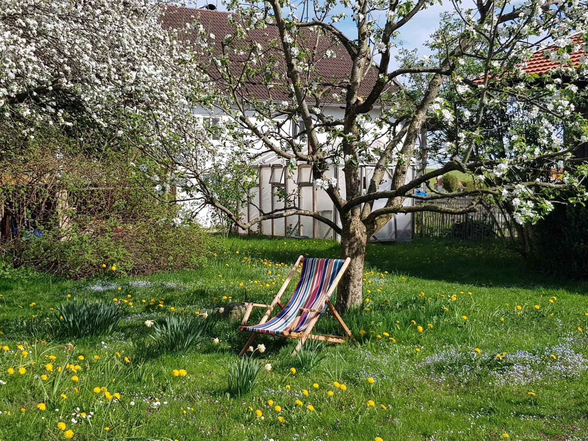 Ferienwohnung Hofen 5 パイティンク エクステリア 写真